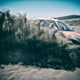 Illustration for article titled These Gorgeous Photos Of The Dakar Rally Were Taken This Year